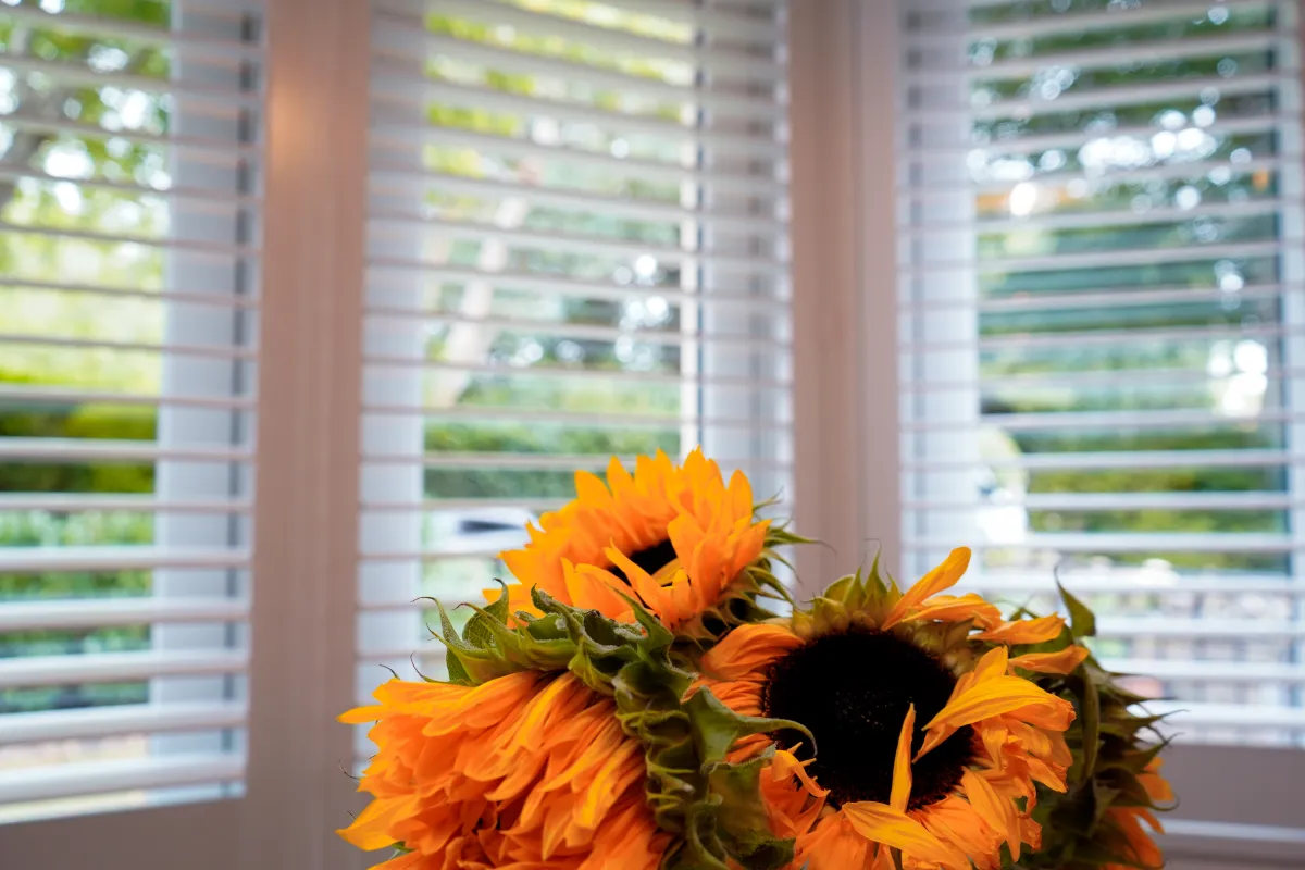 Shutters for Insulation: How Window Shutters Reduce Energy Bills
